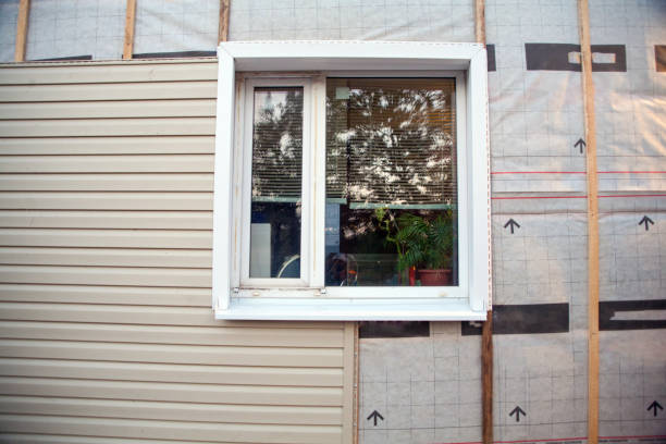 Historical Building Siding Restoration in Hurley, MS